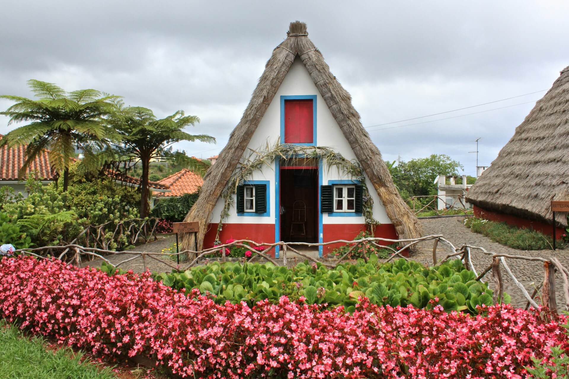 flowers near a house
