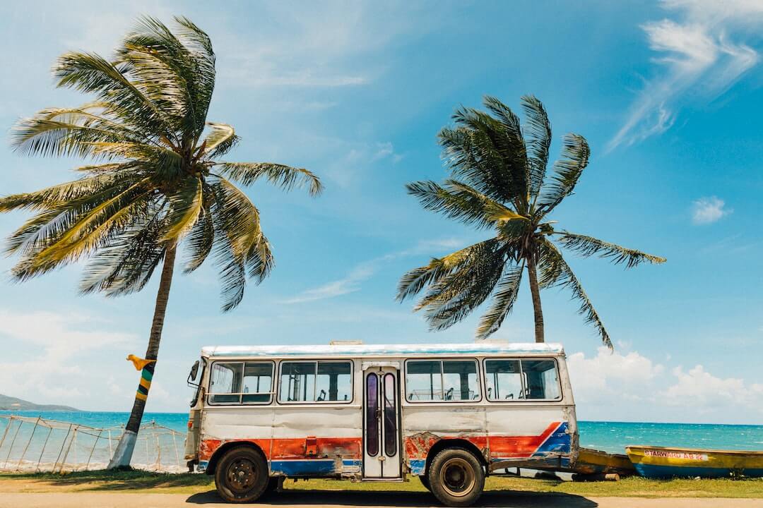 white and blue bus near palm tree under blue sky during daytime white and blue bus near palm tree under blue sky during daytime