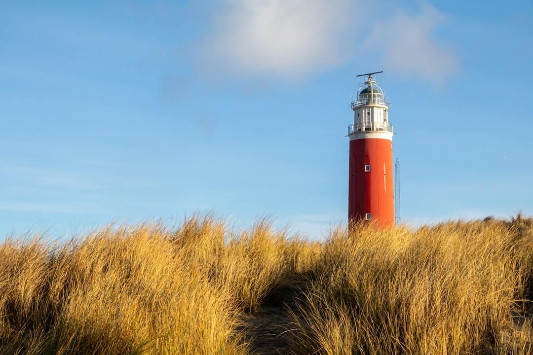 Texel Texel